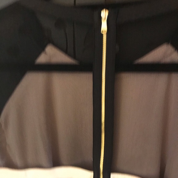 ❤️ Host Pick! Blush & black sheath dress with mesh - Picture 6 of 6